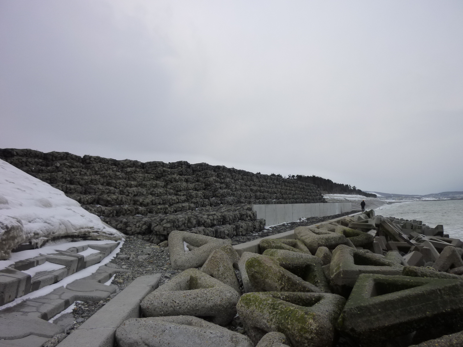 河口付近・海岸