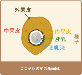 温度抑制効果