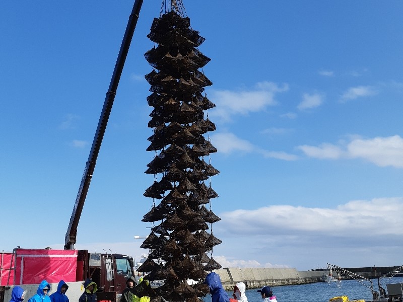 水産養殖業